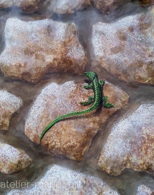 Lézard sur 1 mur 